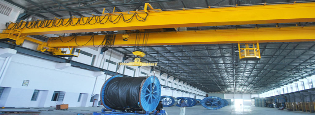 Mecheno Crane & Hoist